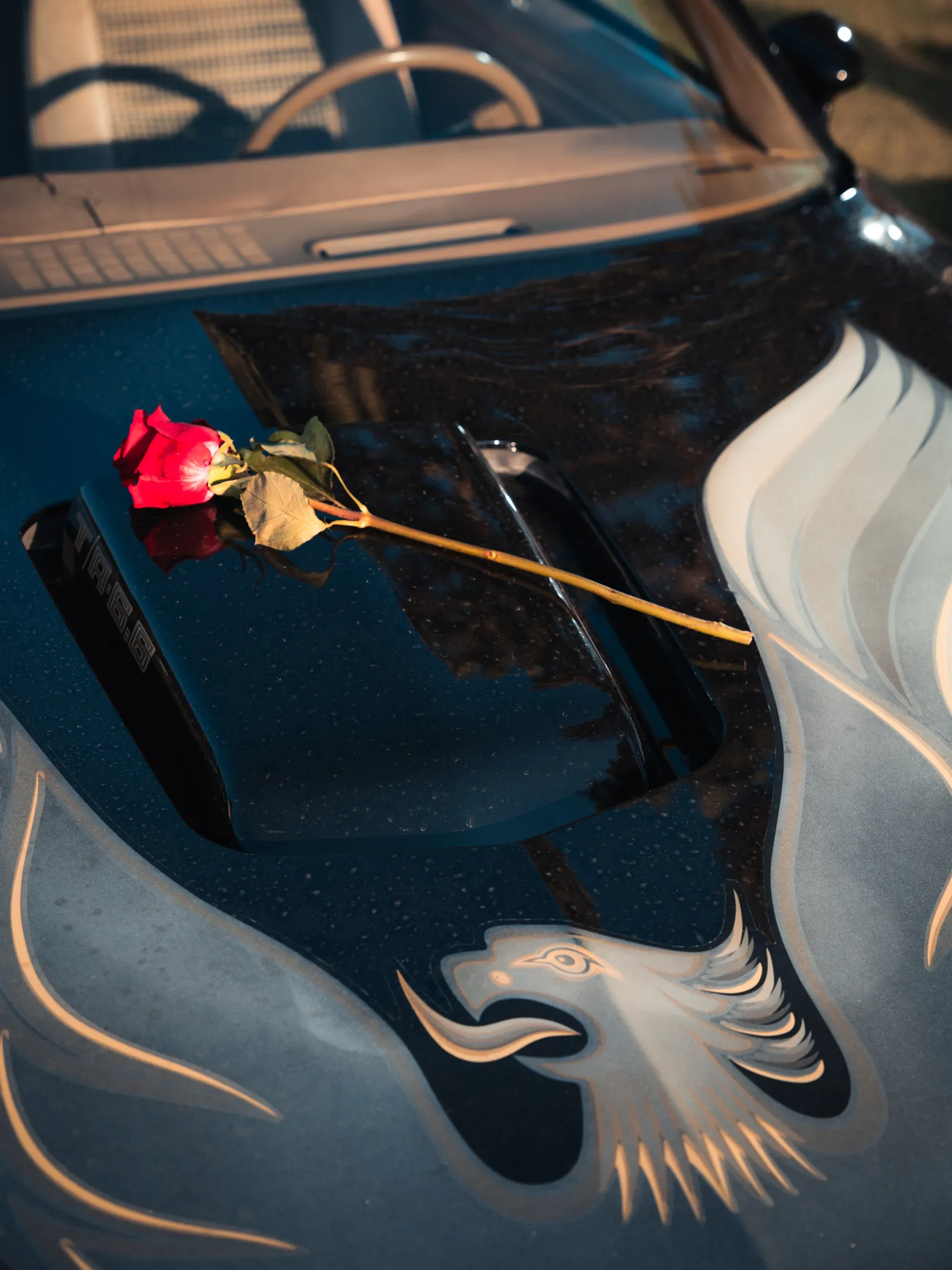 Luxury car interior at an exhibition, refined craftsmanship.