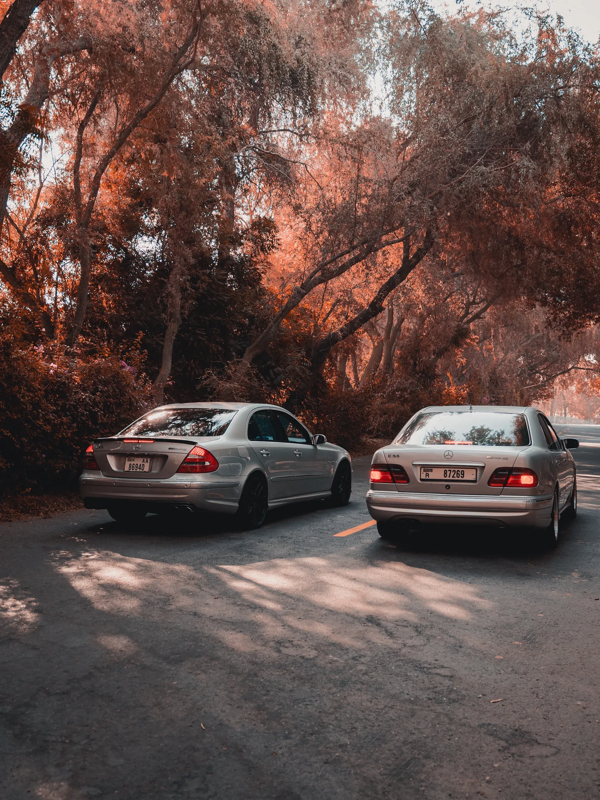 Rear angle of silver Mercedes-Benz E55 AMG on a tree-lined road.