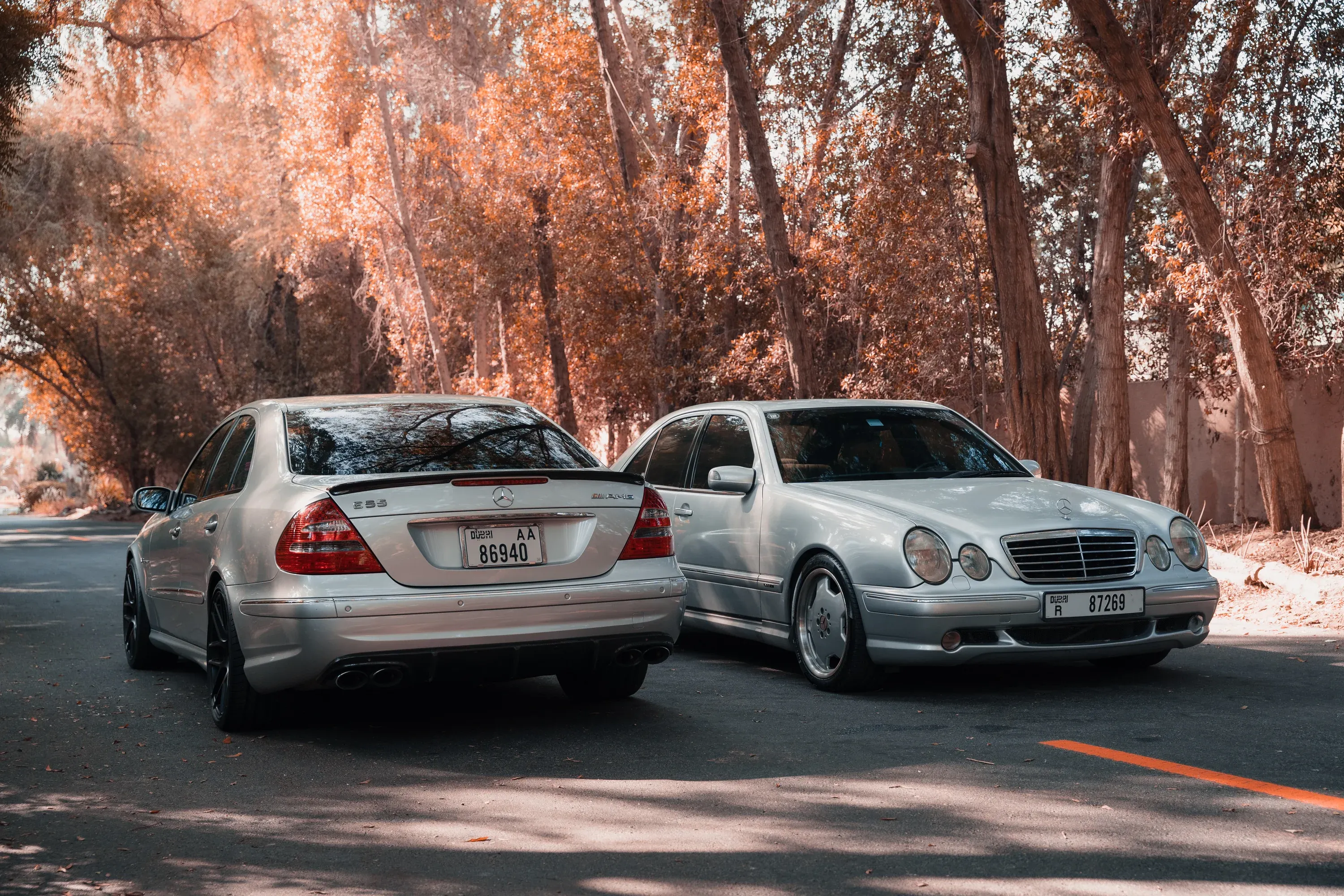 Rear view of a silver Mercedes-Benz E55 AMG and front view of a classic E-Class on a scenic tree-lined road.