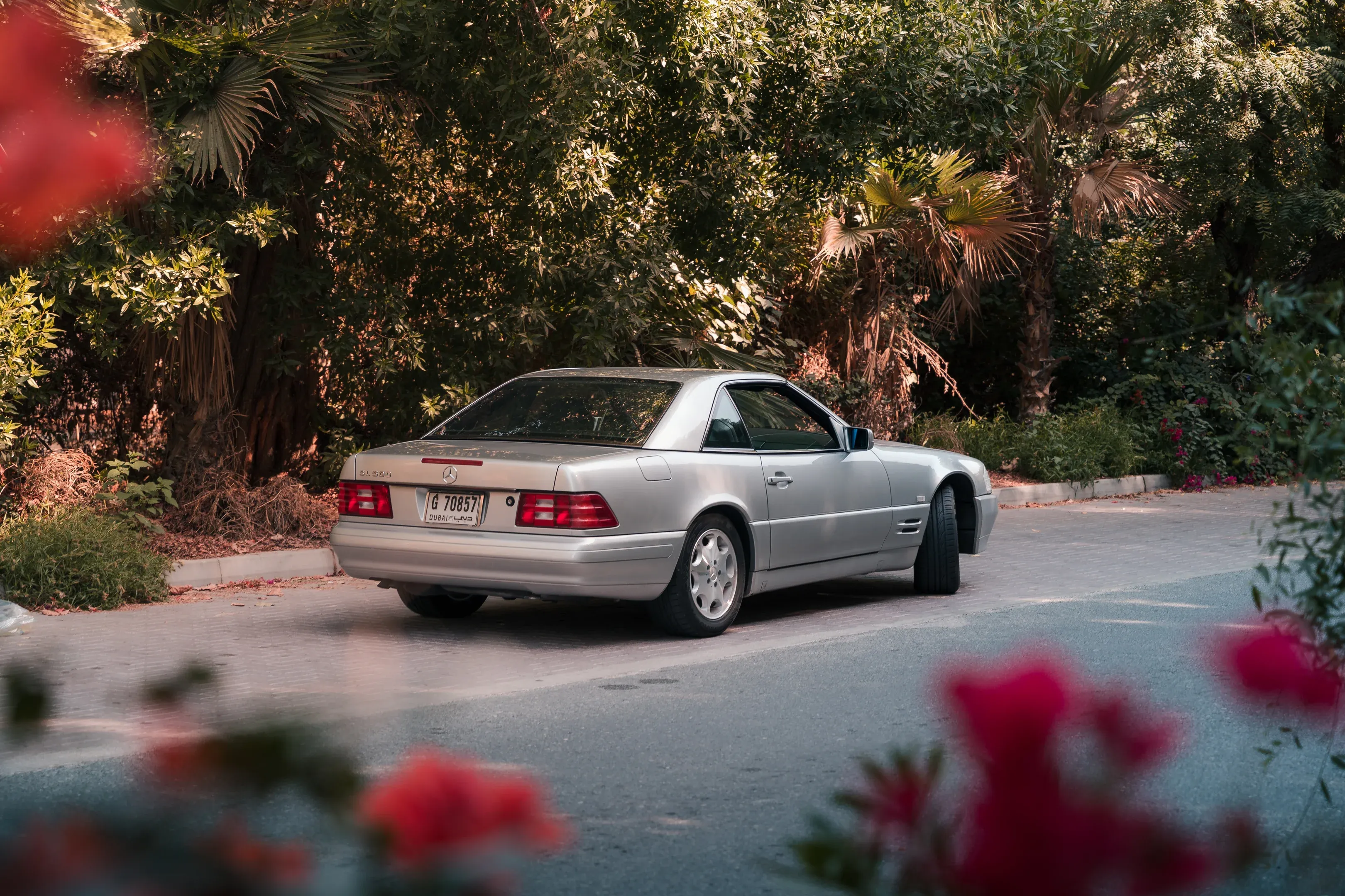 Classic elegance: A silver Mercedes SL 500 (R129) framed by vibrant bougainvillea in a lush Dubai setting.