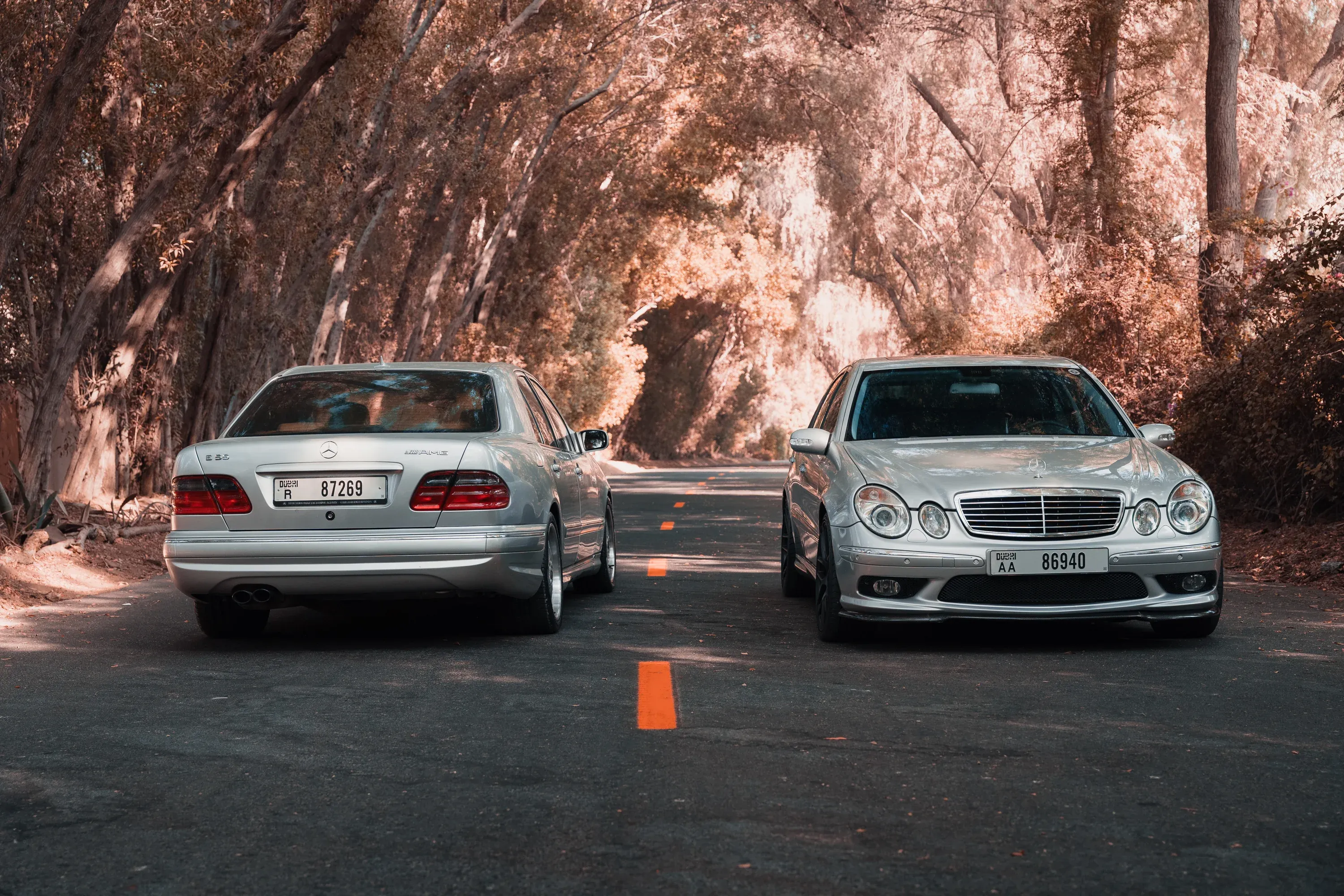 Silver Mercedes-Benz E-Class W211 and W210 parked side-by-side on a road arched with trees, warm golden hour lighting.