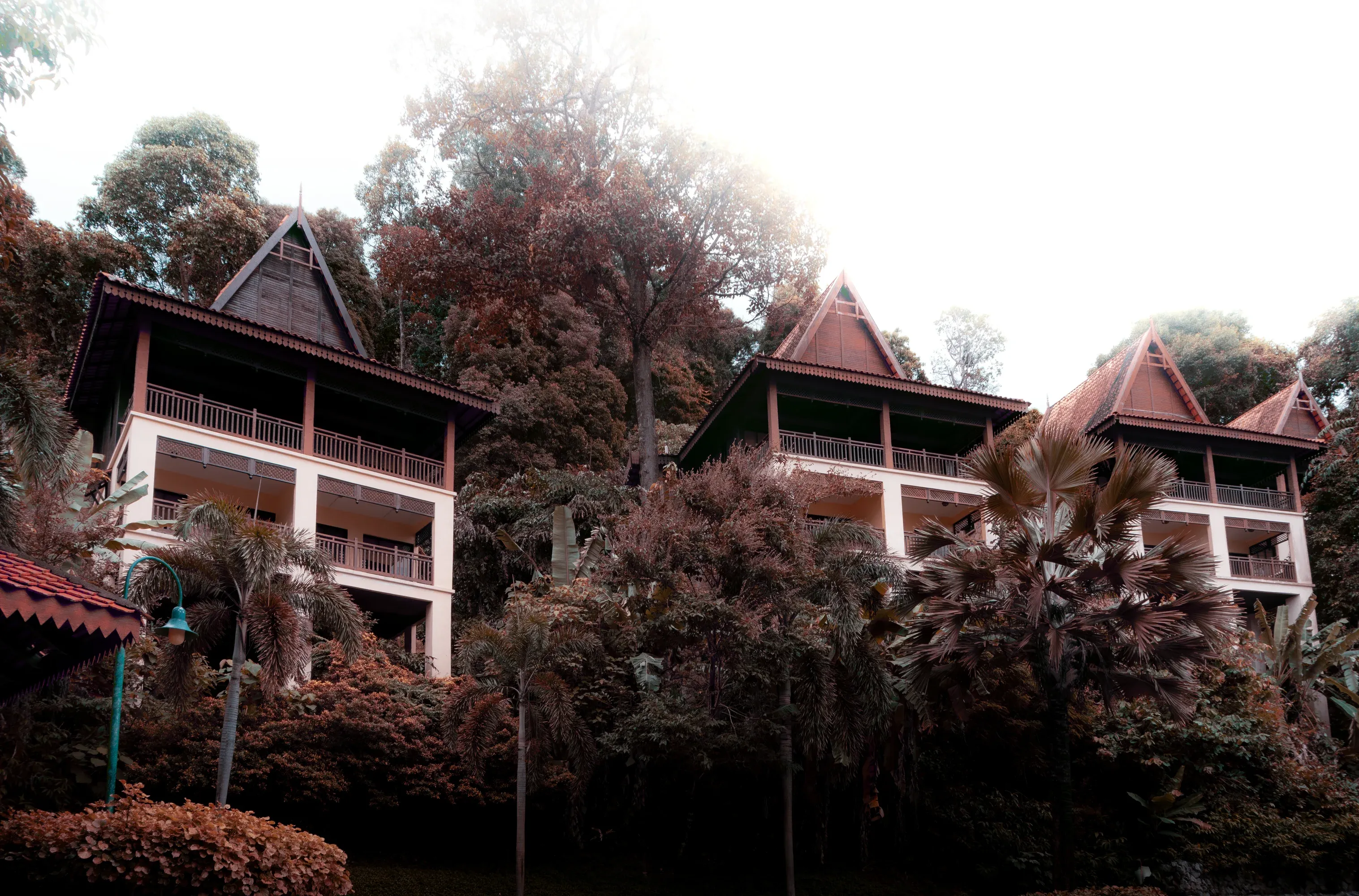 Urban street scene with neon signs and wet pavement, moody night vibe.